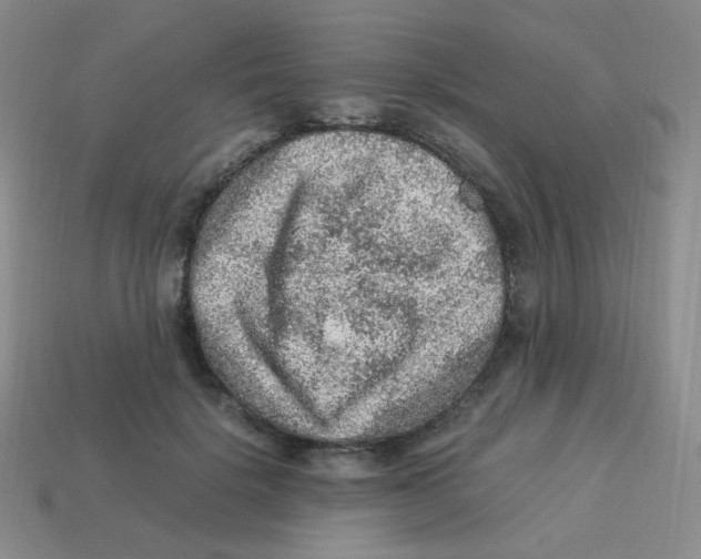 X0000113310652200910131108