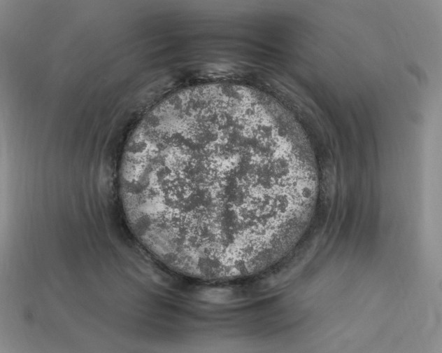 X0000113310653200910131108