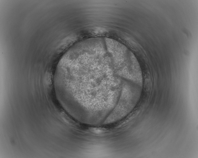 X0000113310654200910131108