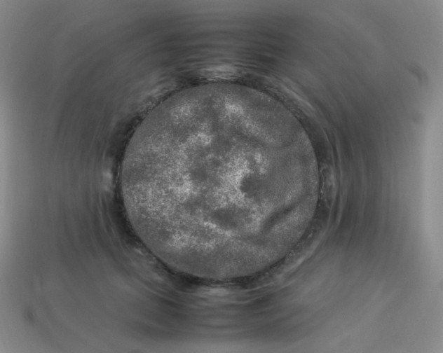 X0000113310655200910131108