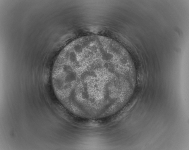 X0000113310656200910131108