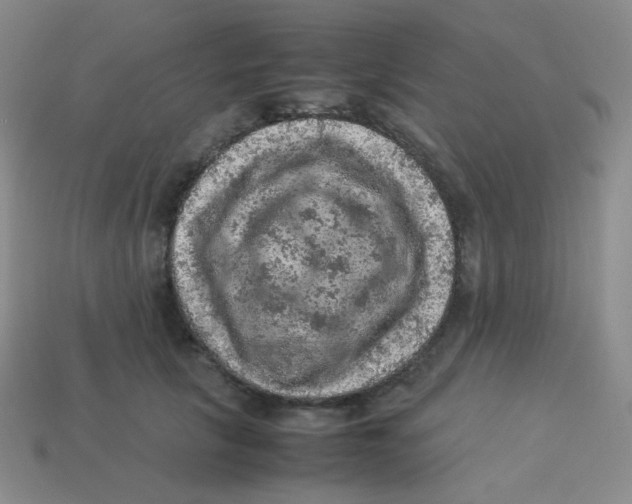 X0000113310657200910131108