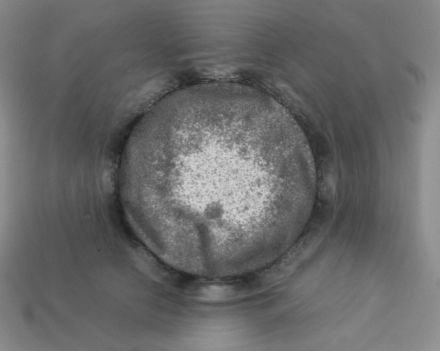 X0000113310658200910131108