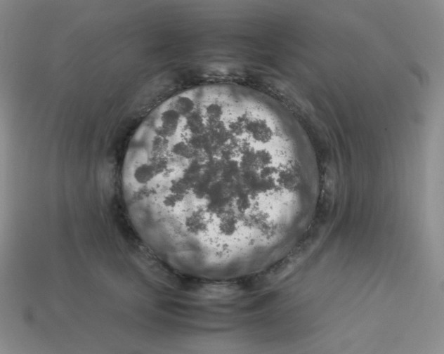 X0000113310659200910131108