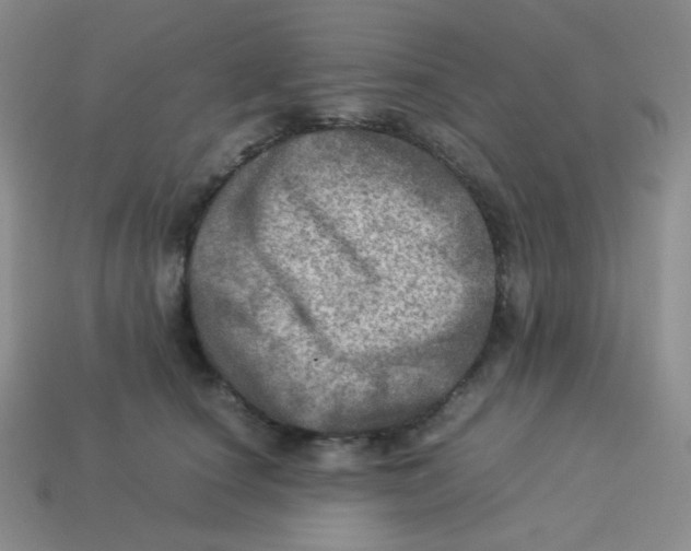 X0000113310660200910131108