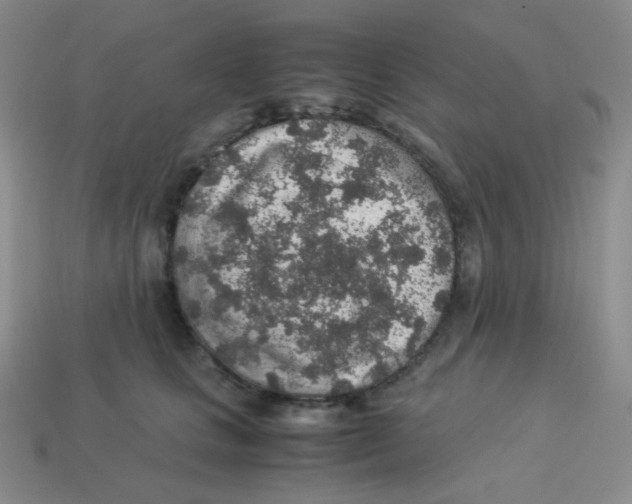 X0000113310661200910131108