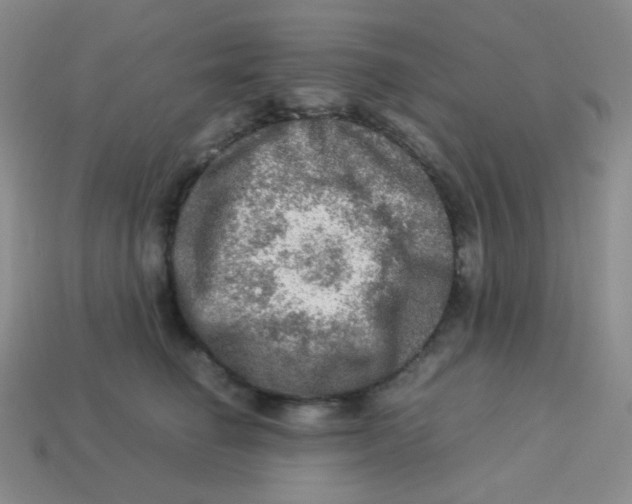 X0000113310662200910131109