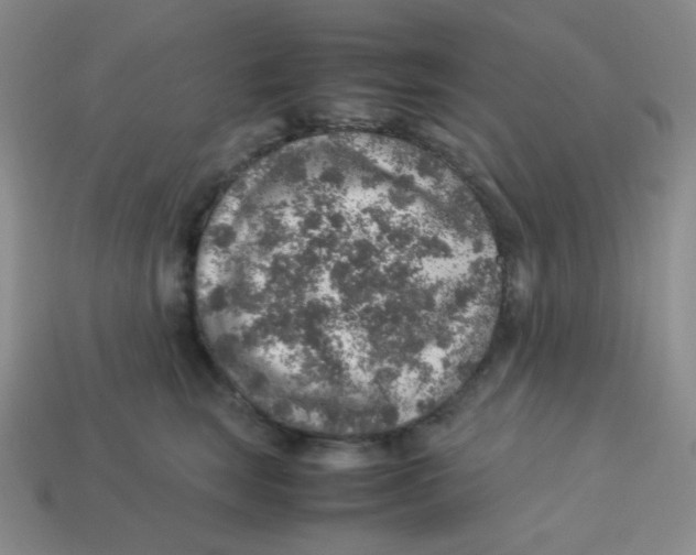 X0000113310663200910131109