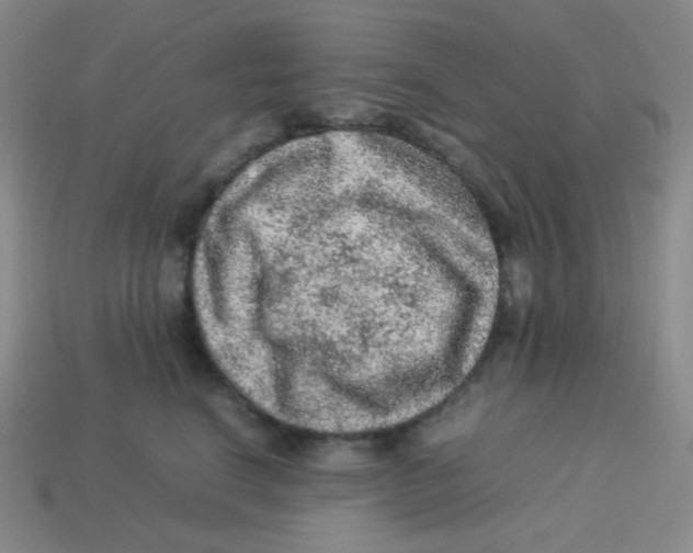 X0000113310664200910131109