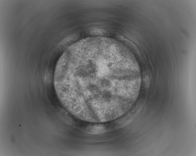 X0000113310665200910131109
