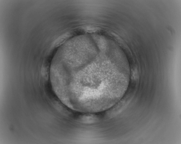 X0000113310666200910131109