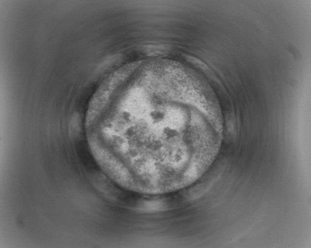 X0000113310667200910131109