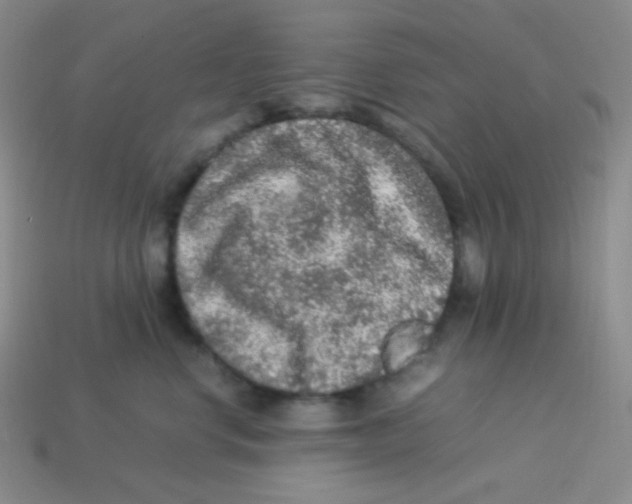 X0000113310668200910131109