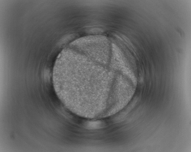 X0000113310669200910131109
