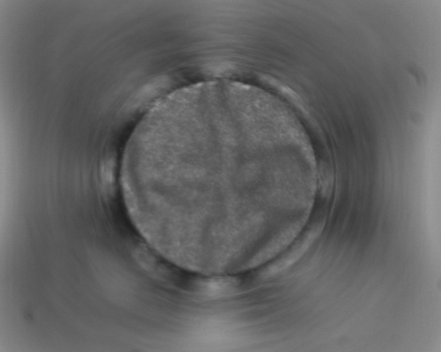 X0000113310670200910131109