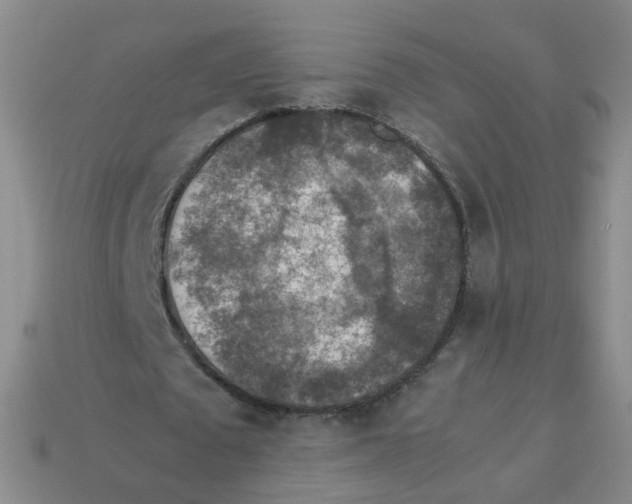 X0000113310673200910131108