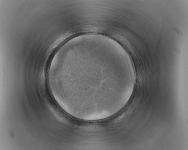 X0000113310674200910131108