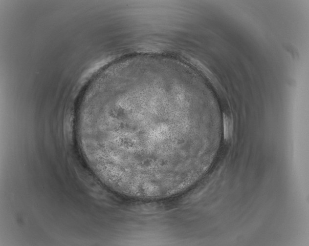 X0000113310675200910131108