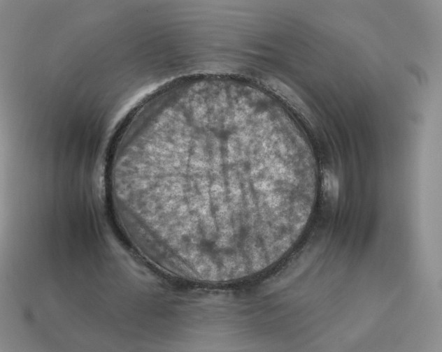 X0000113310676200910131108