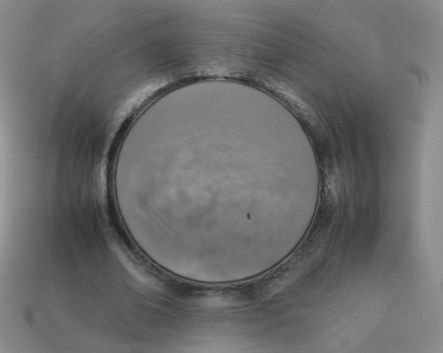 X0000113310678200910131108