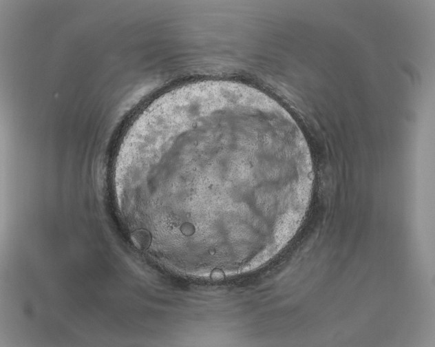 X0000113310679200910131108