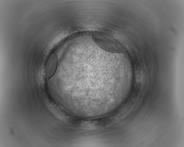 X0000113310680200910131108