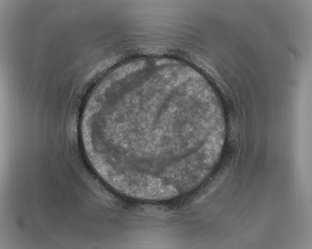 X0000113310681200910131108