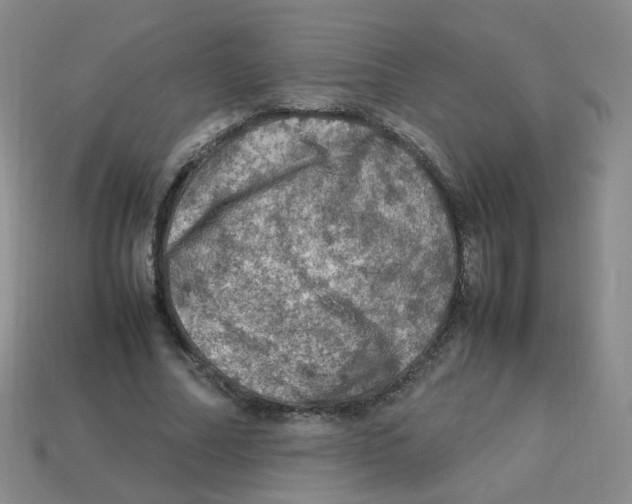 X0000113310682200910131108