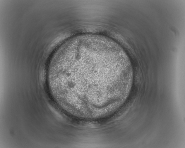 X0000113310683200910131108