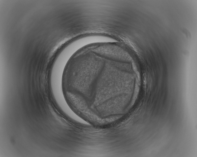 X0000113310684200910131108