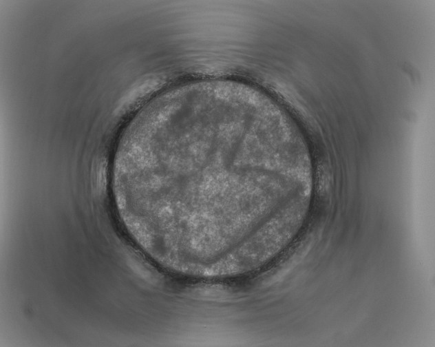 X0000113310685200910131108