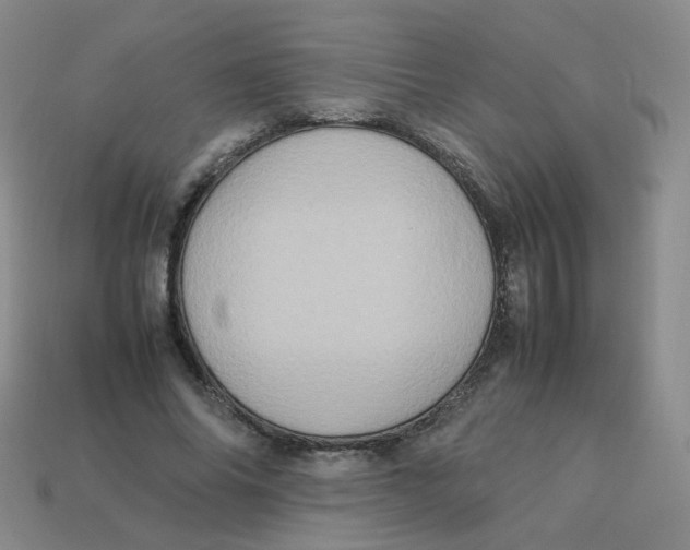 X0000113310686200910131108