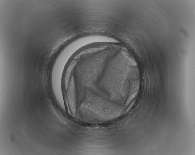 X0000113310688200910131108