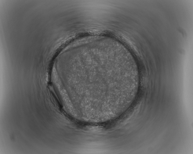 X0000113310689200910131108