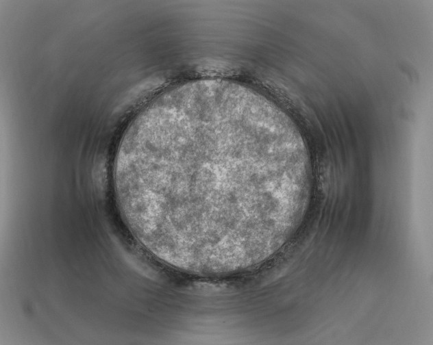 X0000113310690200910131108