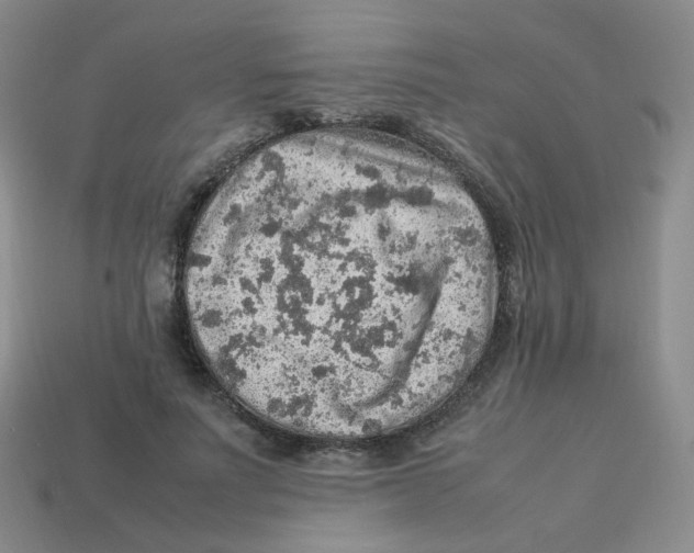 X0000113310691200910131108