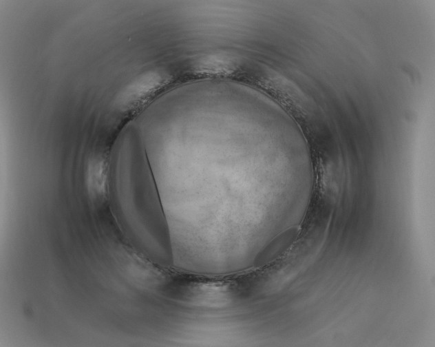X0000113310692200910131108
