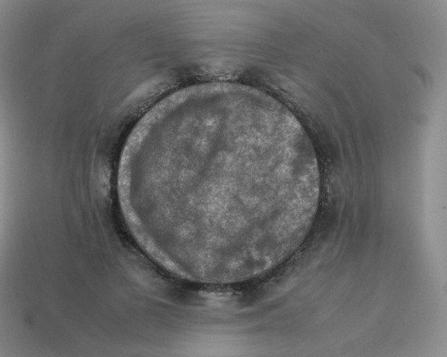 X0000113310693200910131108