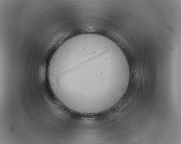 X0000113310694200910131108