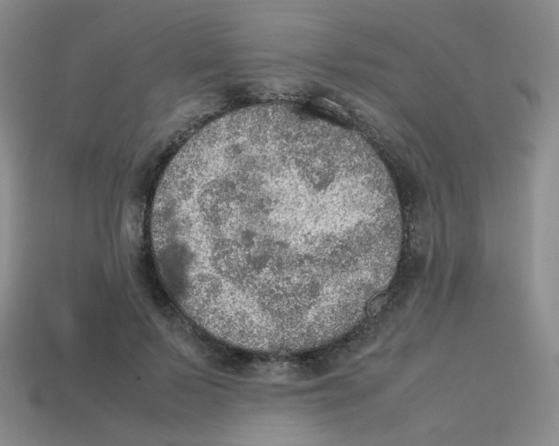 X0000113310695200910131108