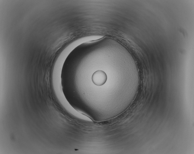 X0000113310696200910131108