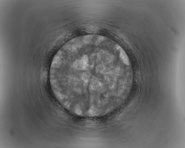 X0000113310697200910131108