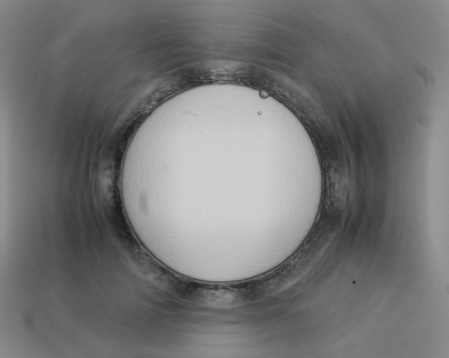 X0000113310698200910131108