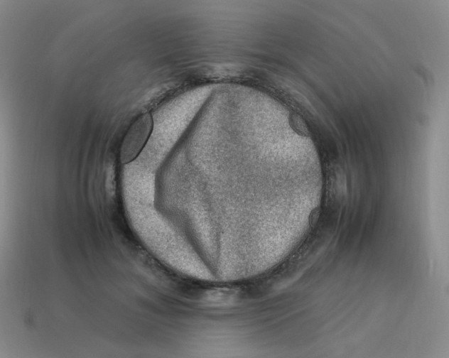 X0000113310700200910131108