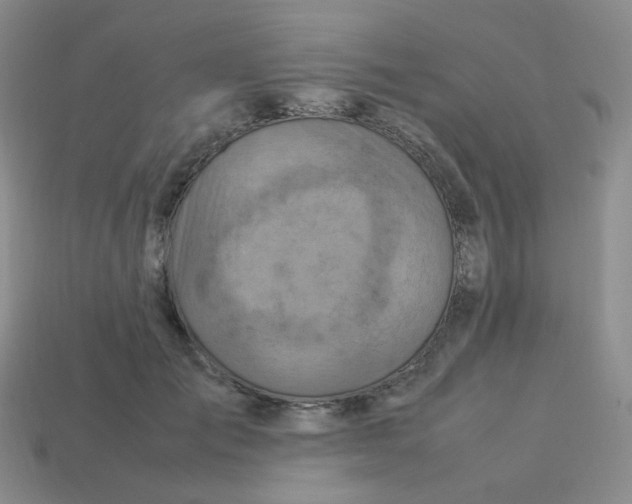 X0000113310701200910131107
