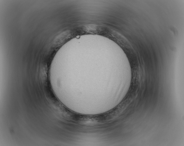 X0000113310702200910131107