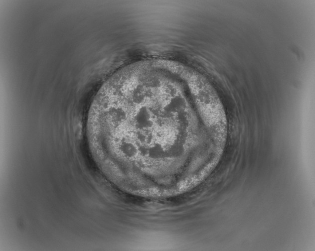 X0000113310703200910131107