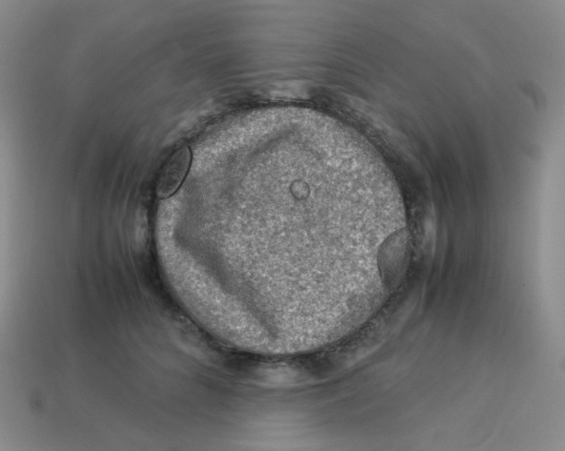 X0000113310704200910131107