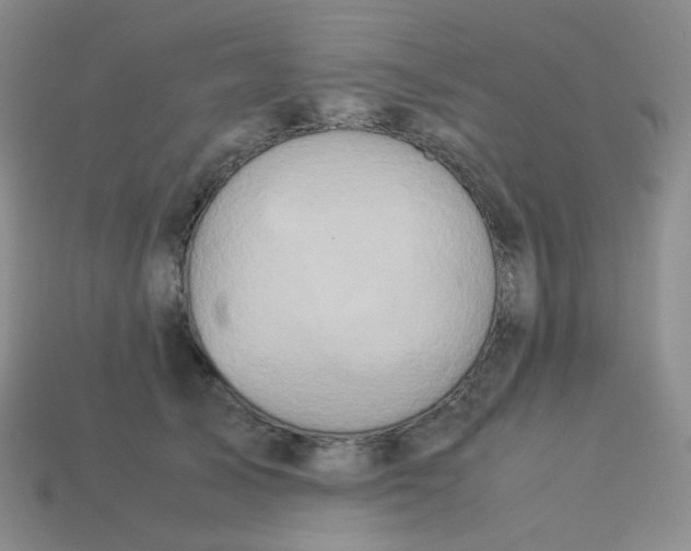 X0000113310705200910131107