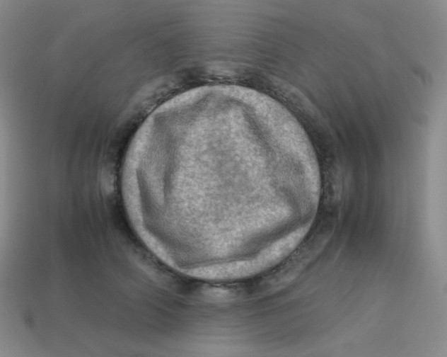 X0000113310706200910131107